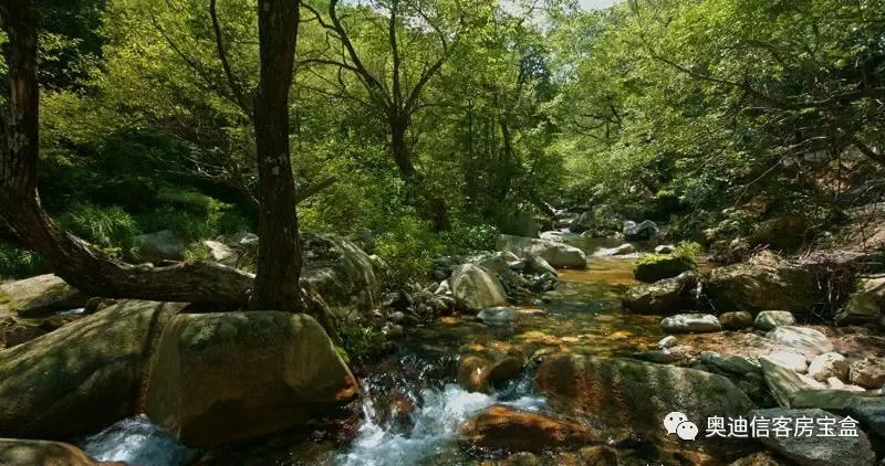 8e18fe54-0379-4af0-9794-8a49631a8f5a