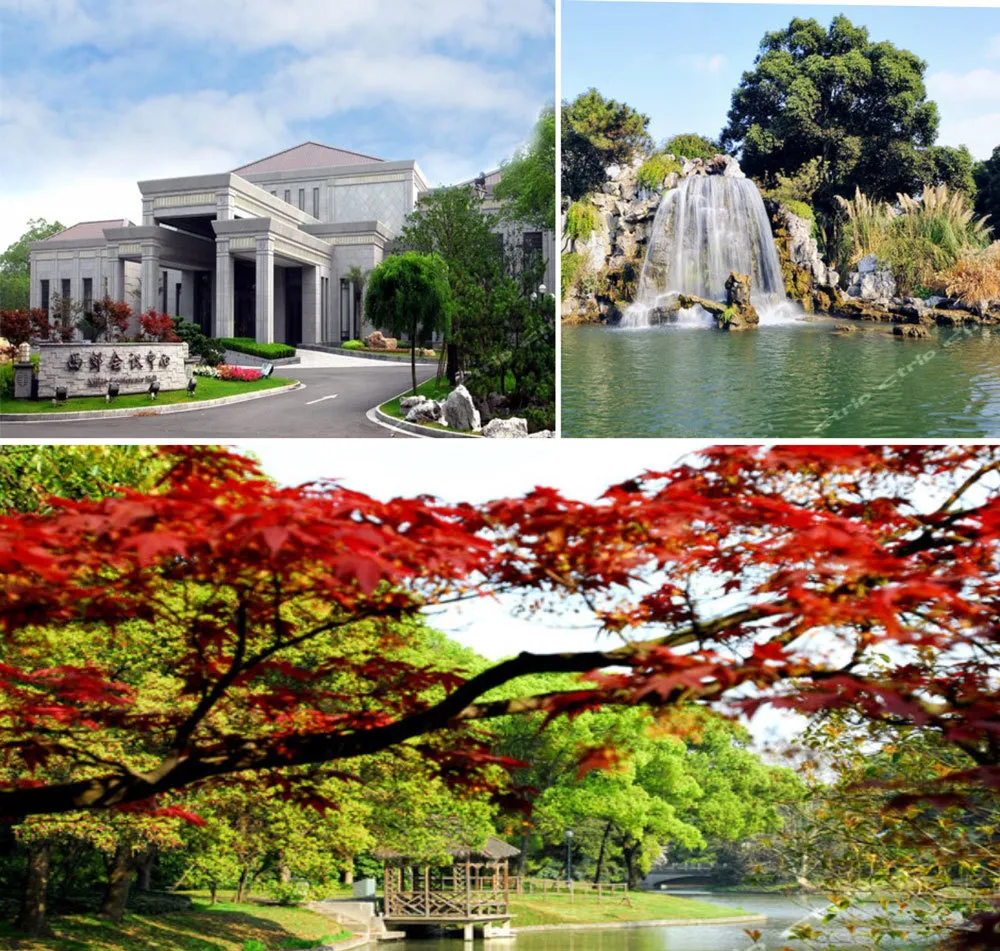 9d707633-b878-48c8-8545-0c1f88ea8bec